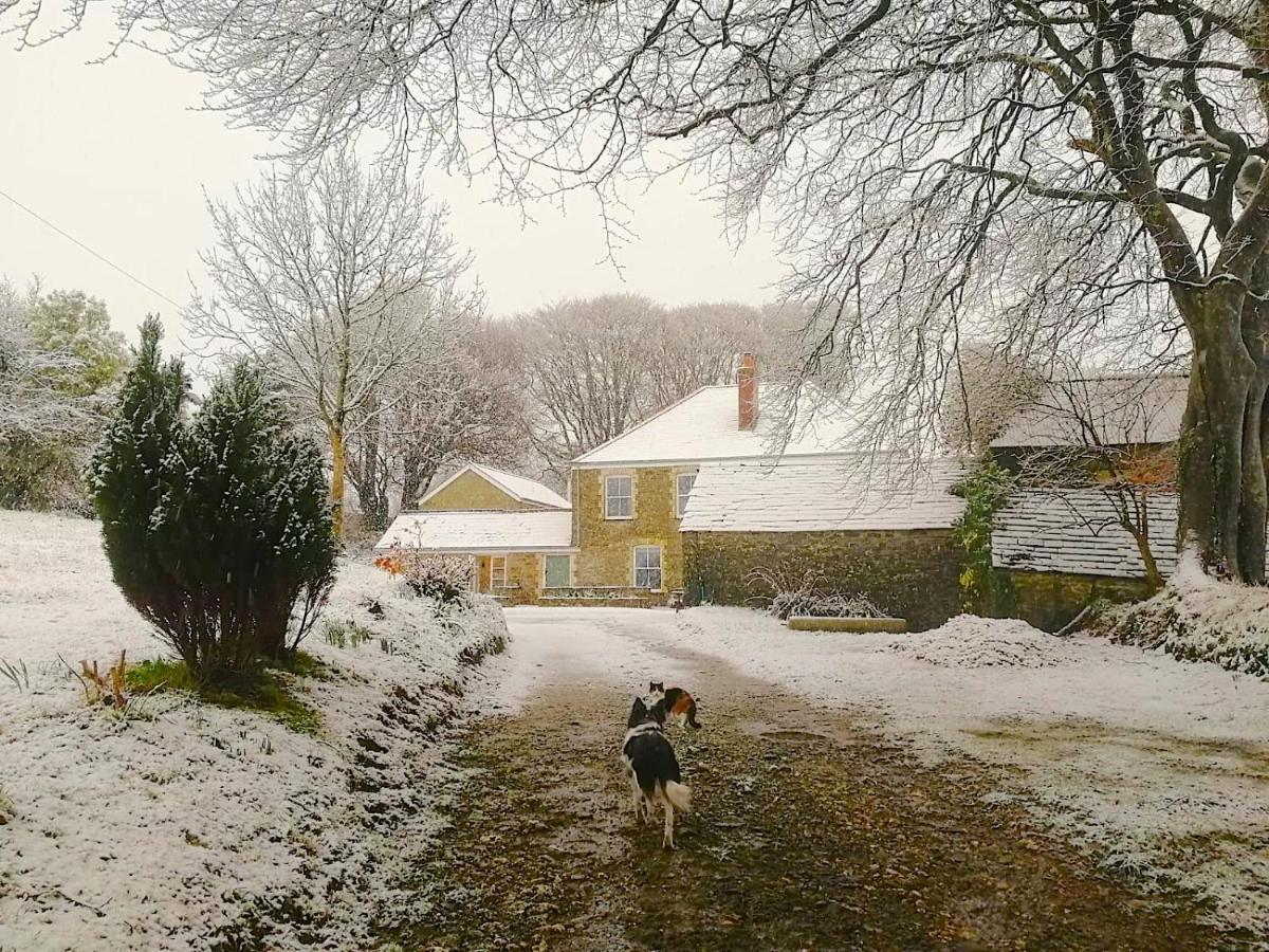 Cornwall, Looe - Magical Pendriffey Pelynt Exterior photo